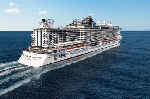 CRUZEIRO MSC SEAVIEW -  JANEIRO/26